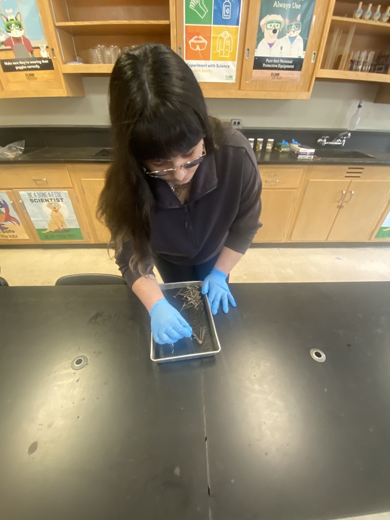 Students in a sophomore biology class at Mathews High School conduct an earthworm dissection, examining anatomy up close as part of a hands-on life sciences lesson.