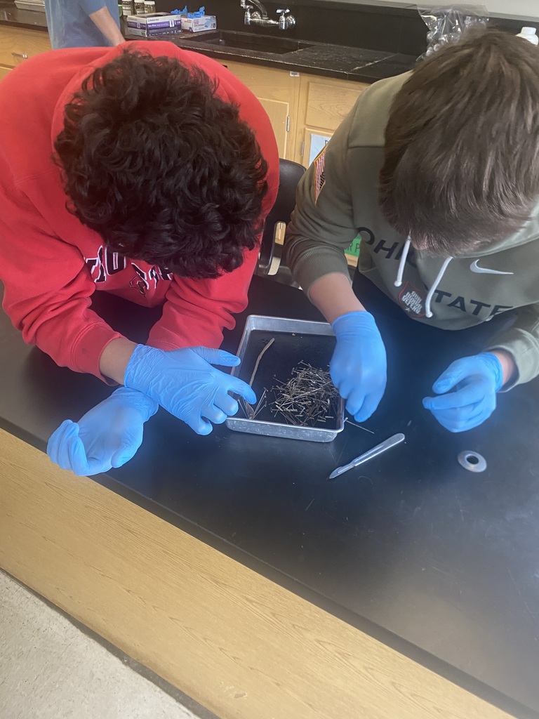 Students in a sophomore biology class at Mathews High School conduct an earthworm dissection, examining anatomy up close as part of a hands-on life sciences lesson.