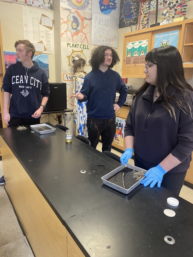 Students in a sophomore biology class at Mathews High School conduct an earthworm dissection, examining anatomy up close as part of a hands-on life sciences lesson.