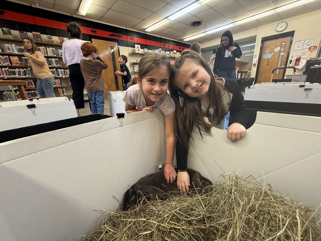 A small, soft bunny with fluffy fur and long ears, gently being held or petted during a classroom visit.