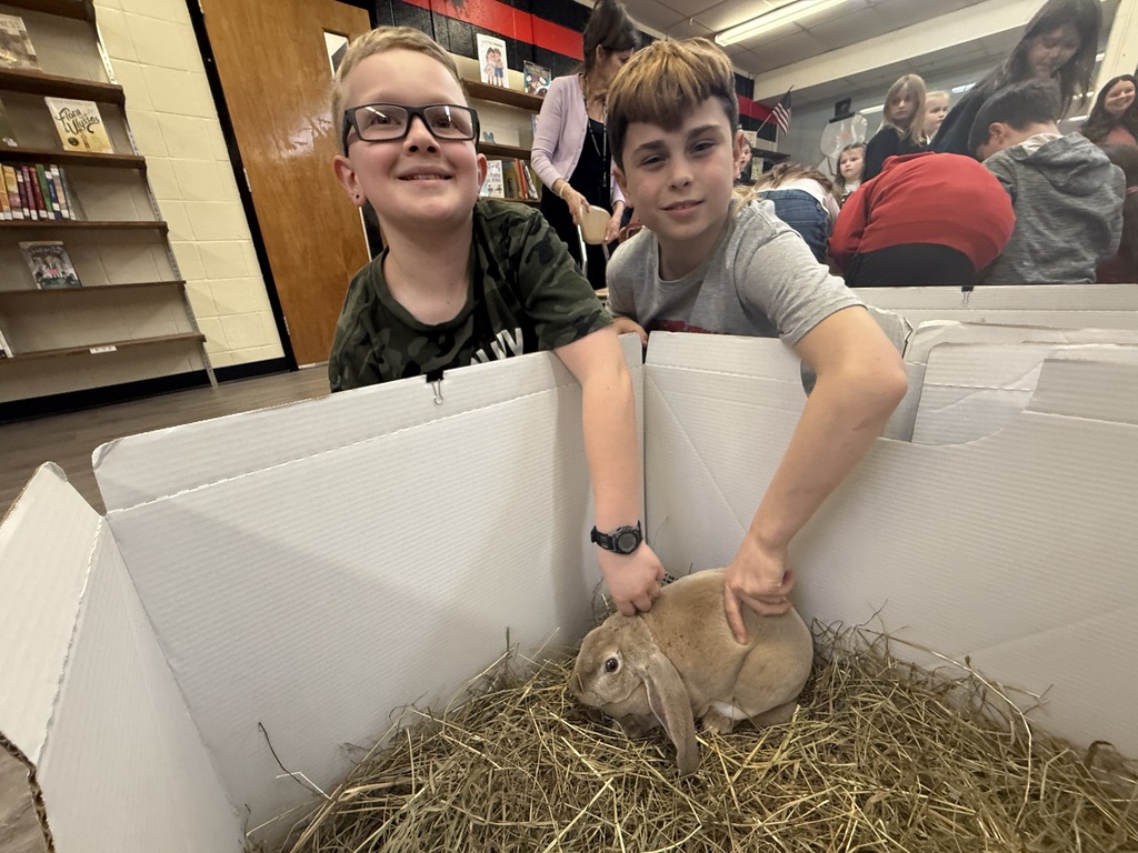 A small, soft bunny with fluffy fur and long ears, gently being held or petted during a classroom visit.