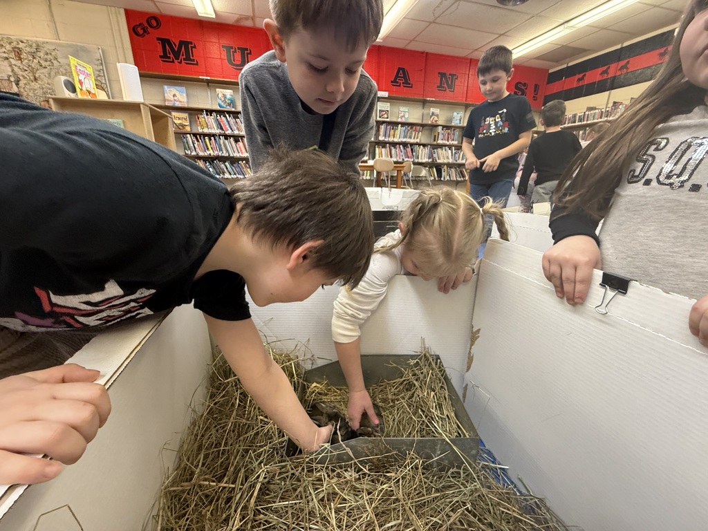 A small, soft bunny with fluffy fur and long ears, gently being held or petted during a classroom visit.