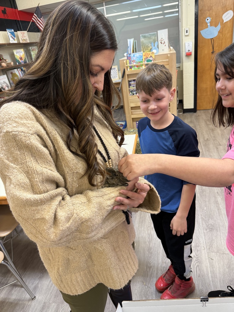 A small, soft bunny with fluffy fur and long ears, gently being held or petted during a classroom visit.