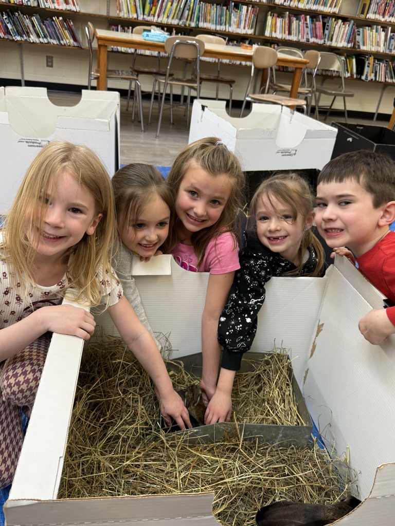 A small, soft bunny with fluffy fur and long ears, gently being held or petted during a classroom visit.