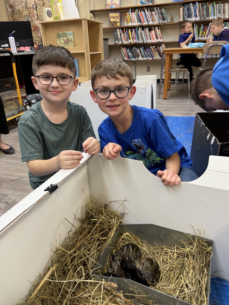 A small, soft bunny with fluffy fur and long ears, gently being held or petted during a classroom visit.