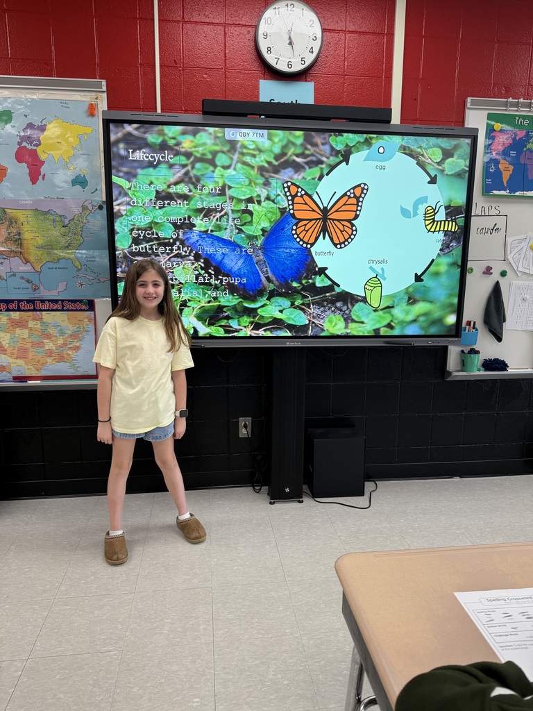 Elementary students presenting a slideshow about insect life cycles