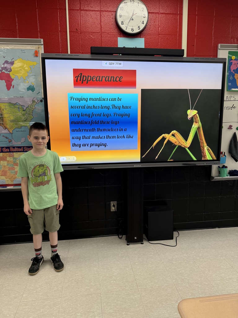 Elementary students presenting a slideshow about insect life cycles
