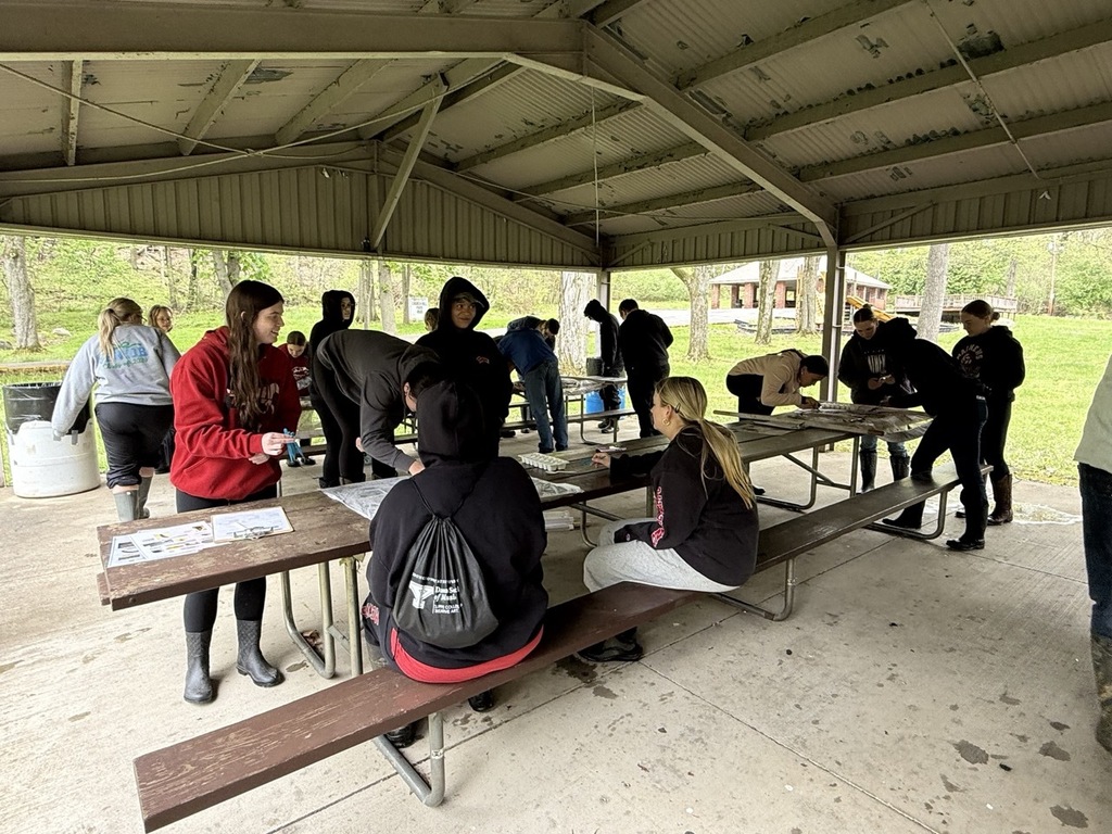 Mathews Biology Students Conduct Stream Study