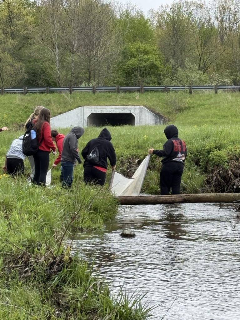 Mathews Biology Students Conduct Stream Study