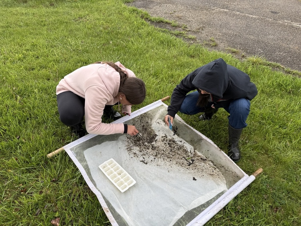 Mathews Biology Students Conduct Stream Study
