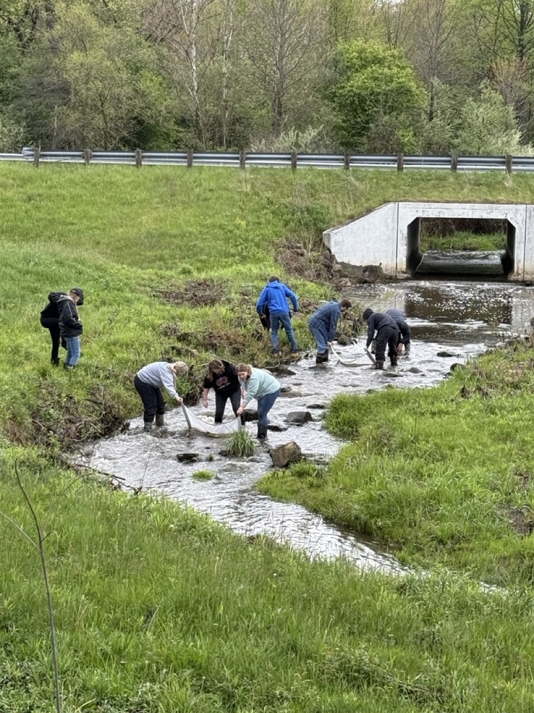 Mathews Biology Students Conduct Stream Study