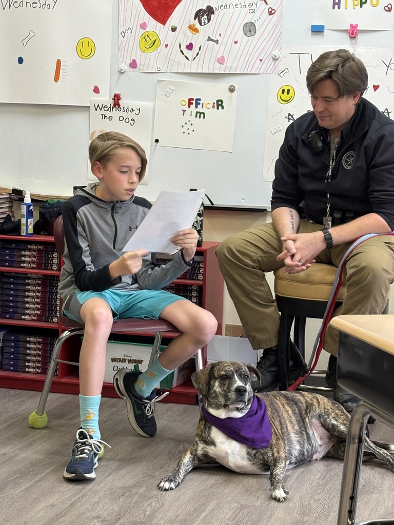 wednesday therapy dog