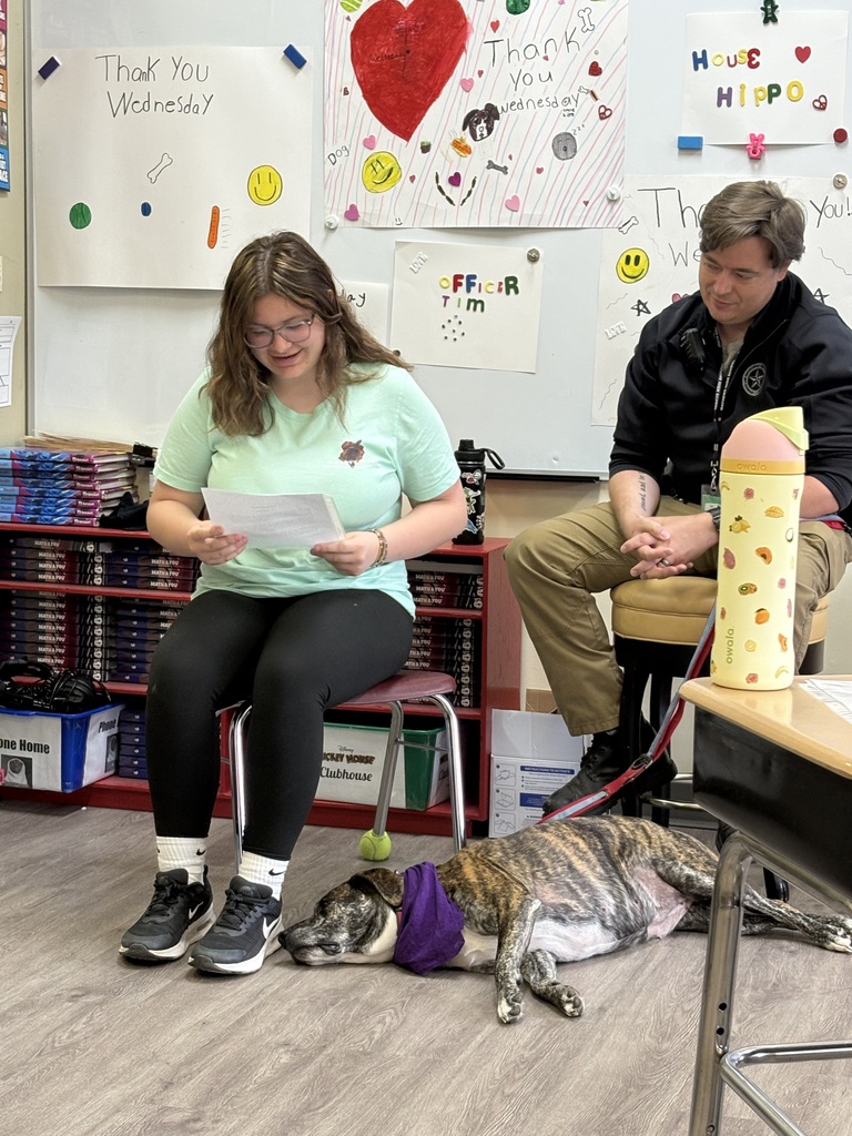 wednesday therapy dog