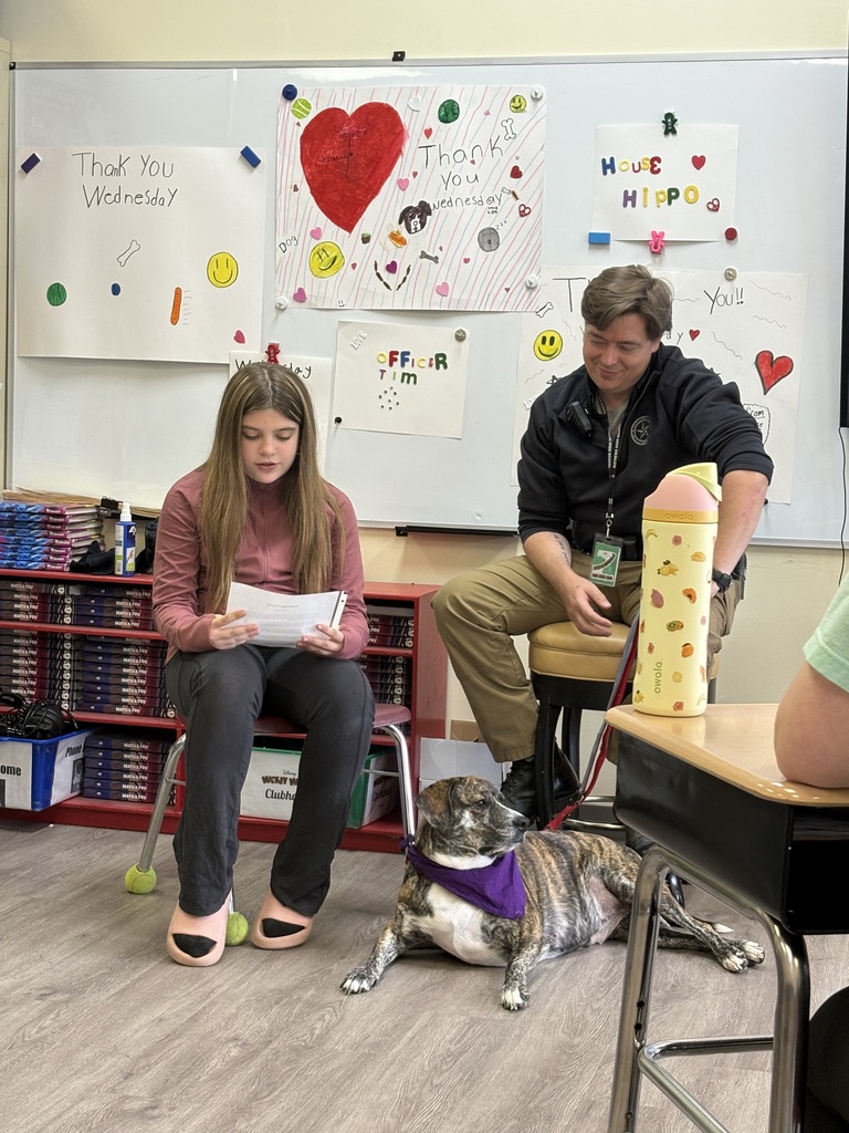wednesday therapy dog