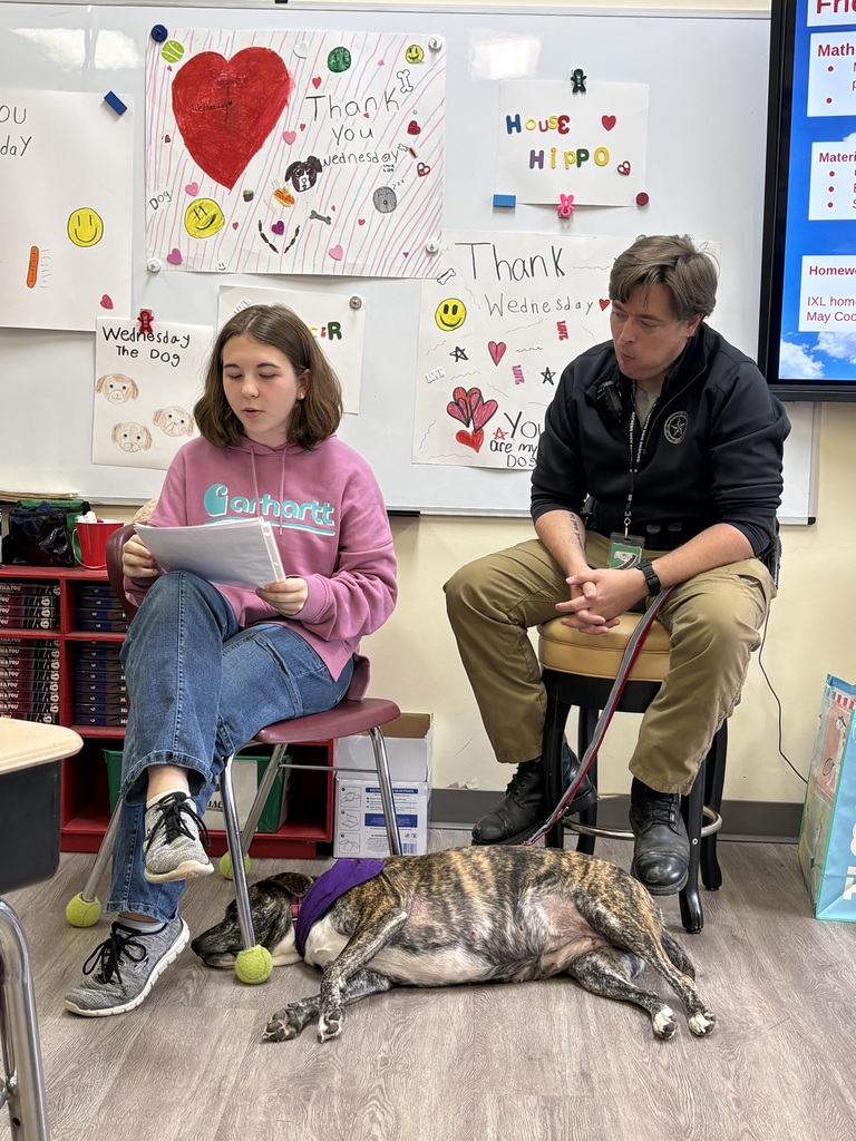 wednesday therapy dog