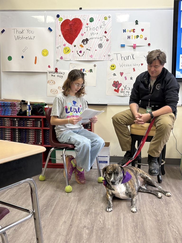 wednesday therapy dog
