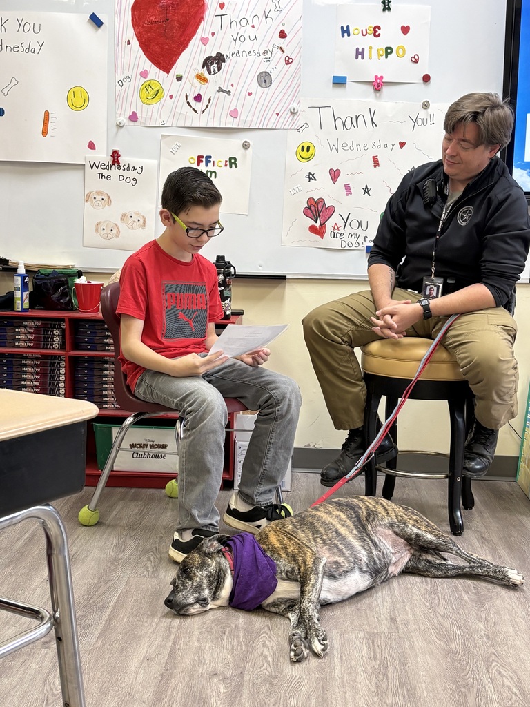 wednesday therapy dog