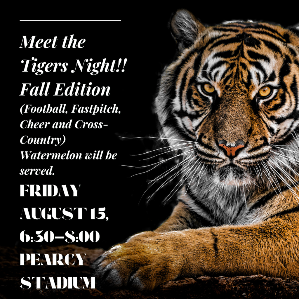 Meet the tigers
