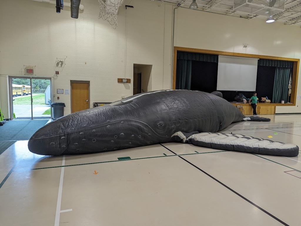 Inflatable Whale