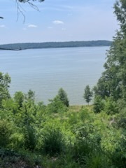 View of the Potomac