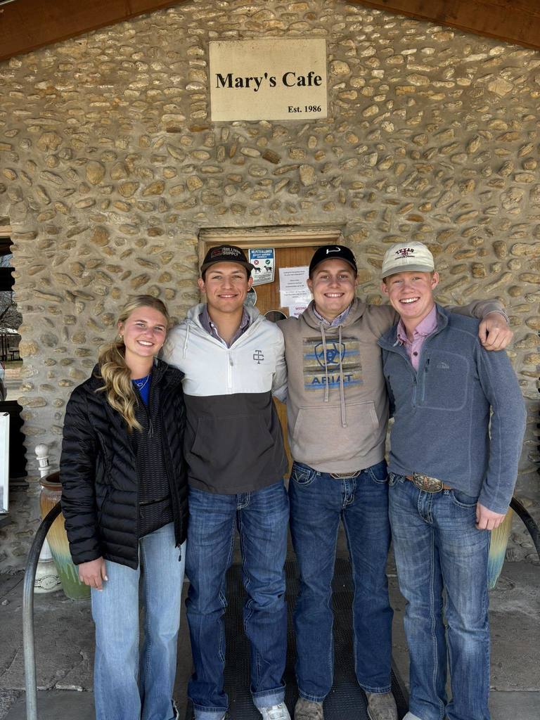 Livestock Judging