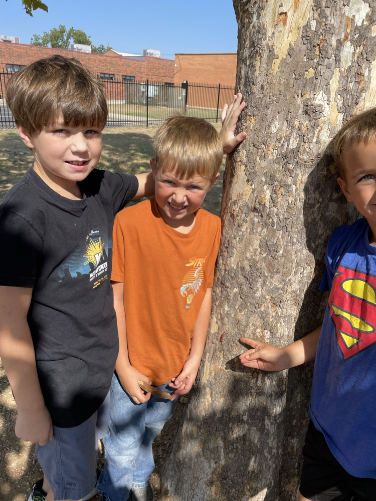 Kage, Hagen, and Wyatt were very gentle with this little crawler!