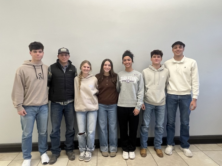 fca all star selections