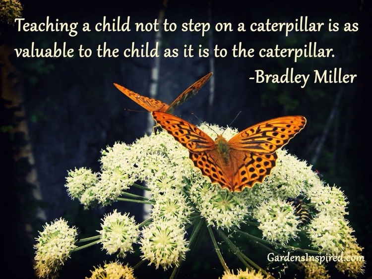 Quote