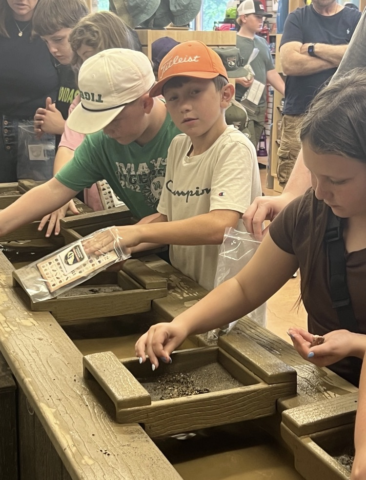 Mining for Gems
