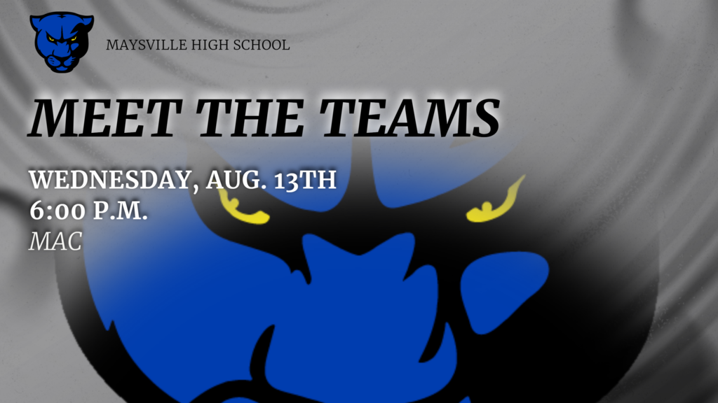 meet the teams