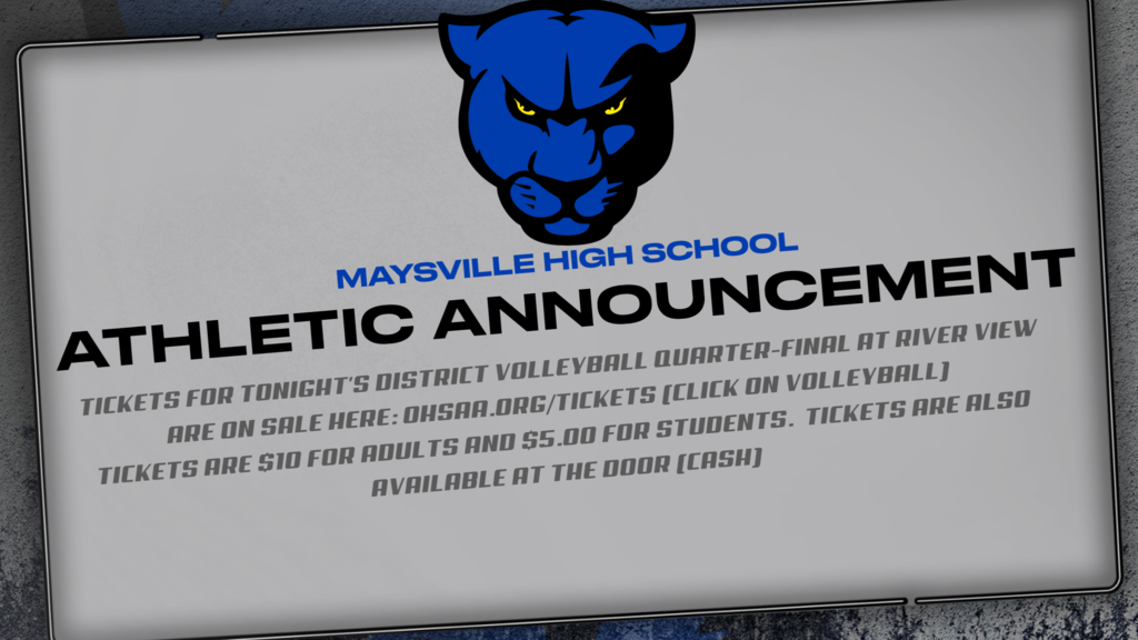 volleyball at River View information