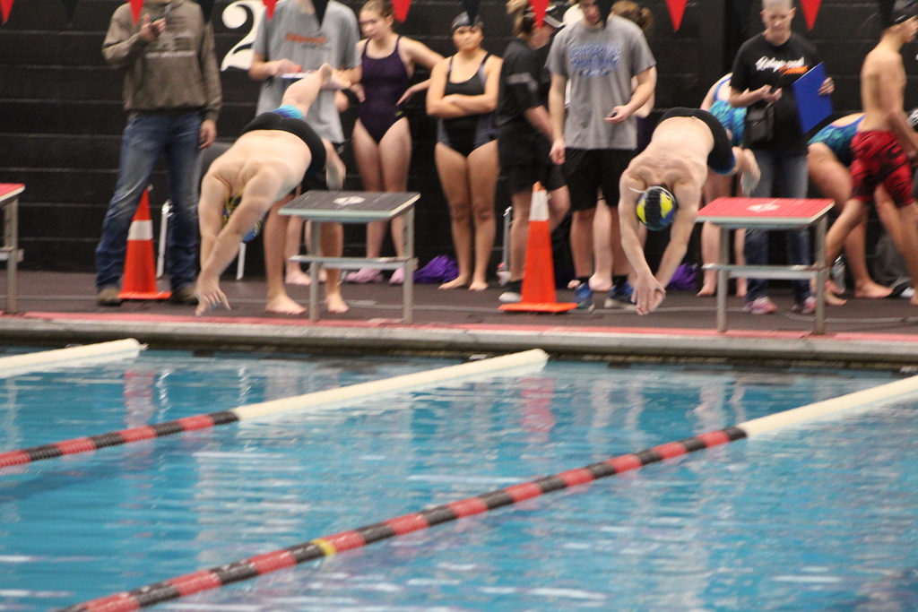 swim