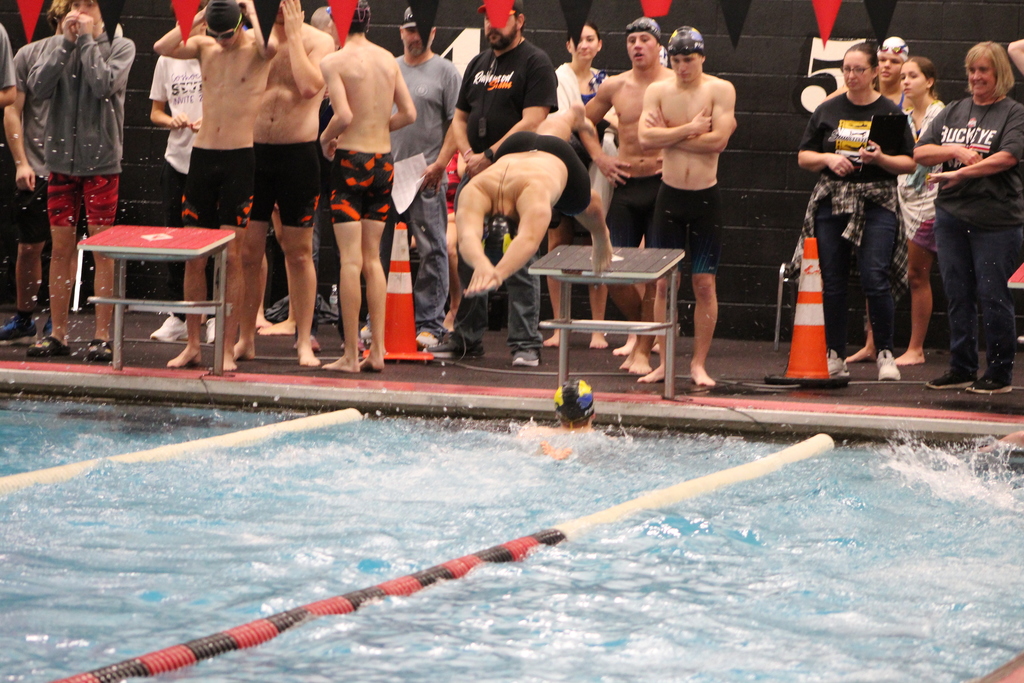 swim