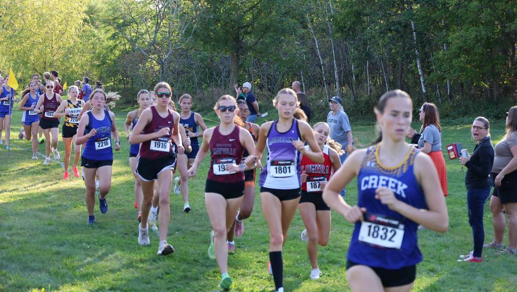 Horicon River Run Cross Country Meet Mayville Girls take 2nd place, medals earned
