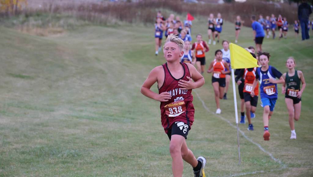 Congratulations to Mayville Cross Country for a strong performance at the Conference Meet! Varsity and JV Girls teams both earned 2nd place, and Varsity Boys earned 6th. Mayville athletes earned individual conference honors including Crystall M. (HM), Mette G. (2nd Team), Sidney D. (1st Team), Samara H. (HM), Adam B. (2nd Team), Caden L. (HM), and Destiny G. (HM), as well as our junior high runners Norah B. (4th), Eli M. (6th), and Marcus G. (3rd). Congrats, Cards!