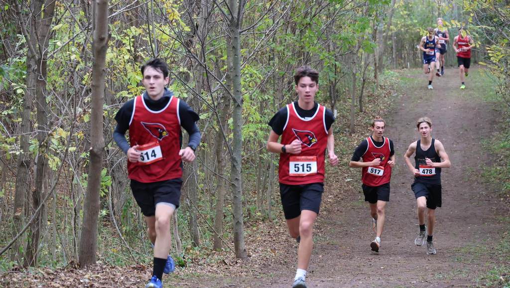 Mayville Cross Country finished strong at the WIAA Sectional meet at Sheboygan Lutheran. The girls came in 7th, and the boys 15th, out of 23 schools. Congrats to our Cross Country Cardinals on a great season! #mayvillecardinals #mayvilleschools #cardinalpride