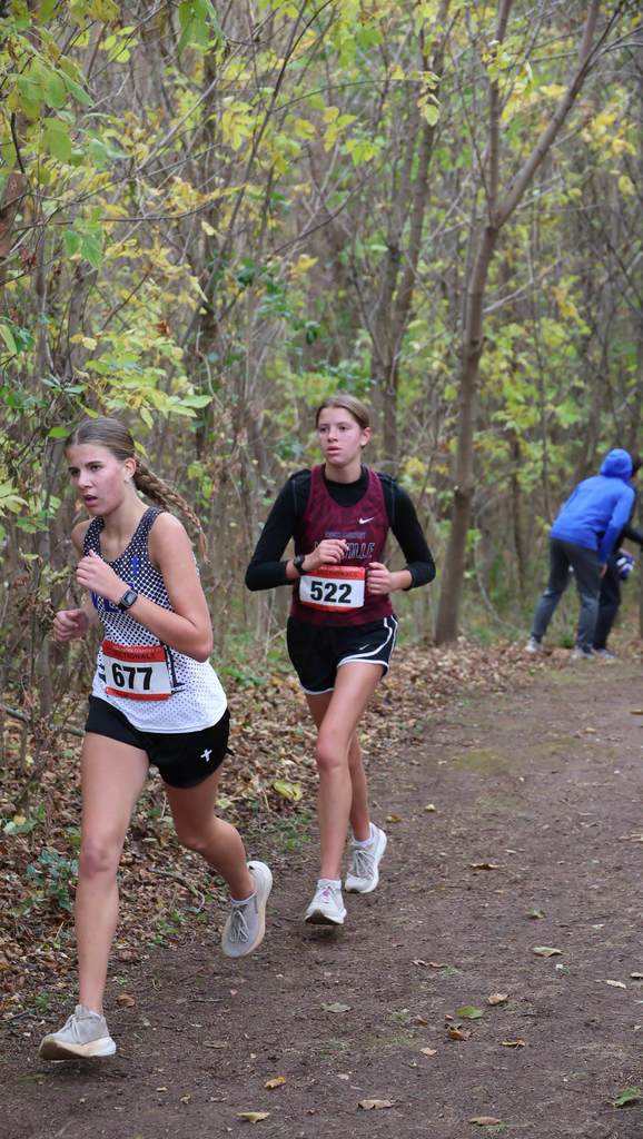 Mayville Cross Country finished strong at the WIAA Sectional meet at Sheboygan Lutheran. The girls came in 7th, and the boys 15th, out of 23 schools. Congrats to our Cross Country Cardinals on a great season! #mayvillecardinals #mayvilleschools #cardinalpride
