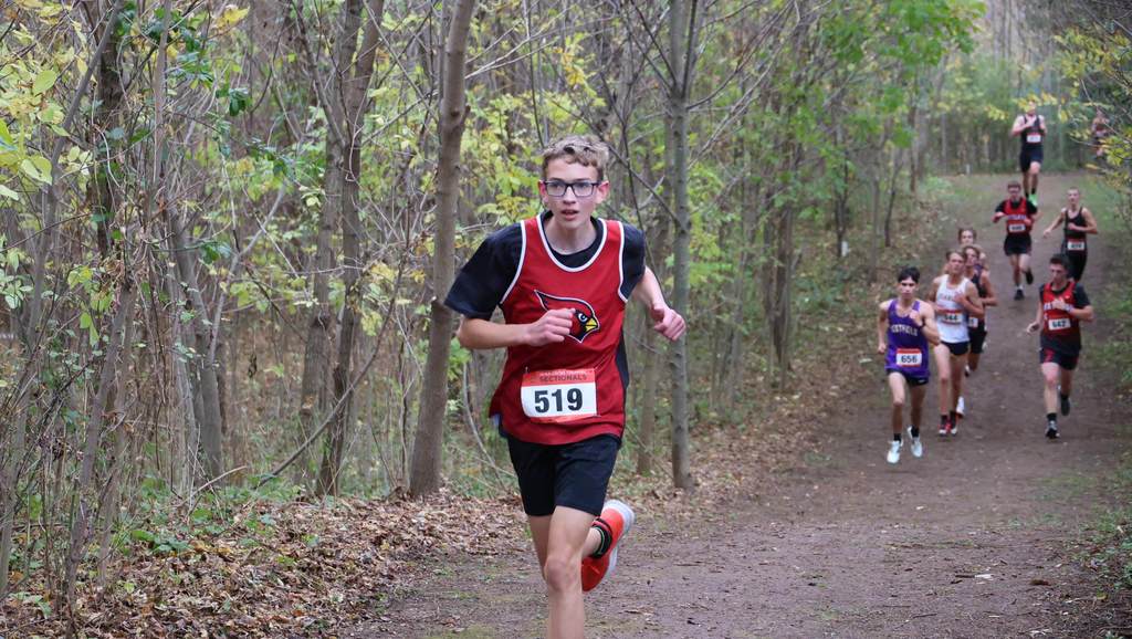 Mayville Cross Country finished strong at the WIAA Sectional meet at Sheboygan Lutheran. The girls came in 7th, and the boys 15th, out of 23 schools. Congrats to our Cross Country Cardinals on a great season! #mayvillecardinals #mayvilleschools #cardinalpride