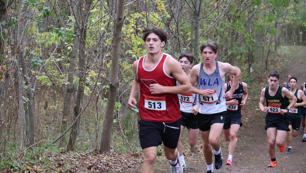 Mayville Cross Country finished strong at the WIAA Sectional meet at Sheboygan Lutheran. The girls came in 7th, and the boys 15th, out of 23 schools. Congrats to our Cross Country Cardinals on a great season! #mayvillecardinals #mayvilleschools #cardinalpride