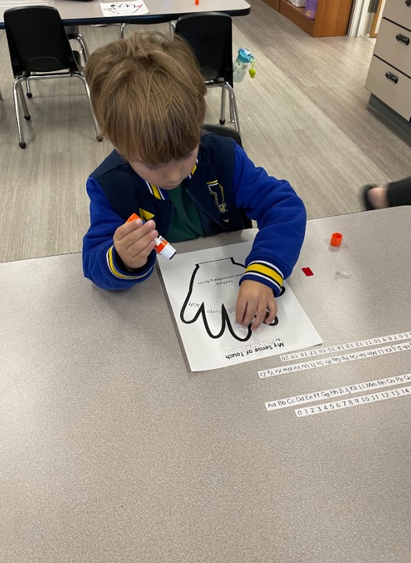 5K Sensational Sense Party celebrating the end of our Five Senses literacy unit