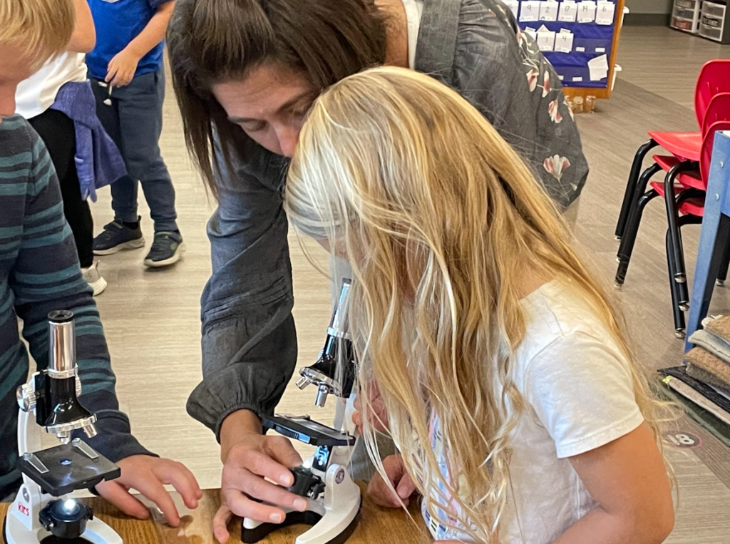 5K Sensational Sense Party celebrating the end of our Five Senses literacy unit