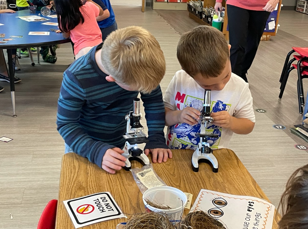 5K Sensational Sense Party celebrating the end of our Five Senses literacy unit