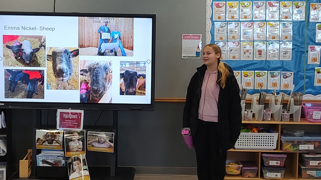 MHS FFA students visited our 5K classes down the hill at MES to extend their learning about farms during one of their recent Science/ELA units. Our high schoolers presented their real life experiences from farm animal care to tractor restoration, and even connecting the dots between the snacks the kids eat and what crops are used to create those snacks! (Raising sheep presentation)