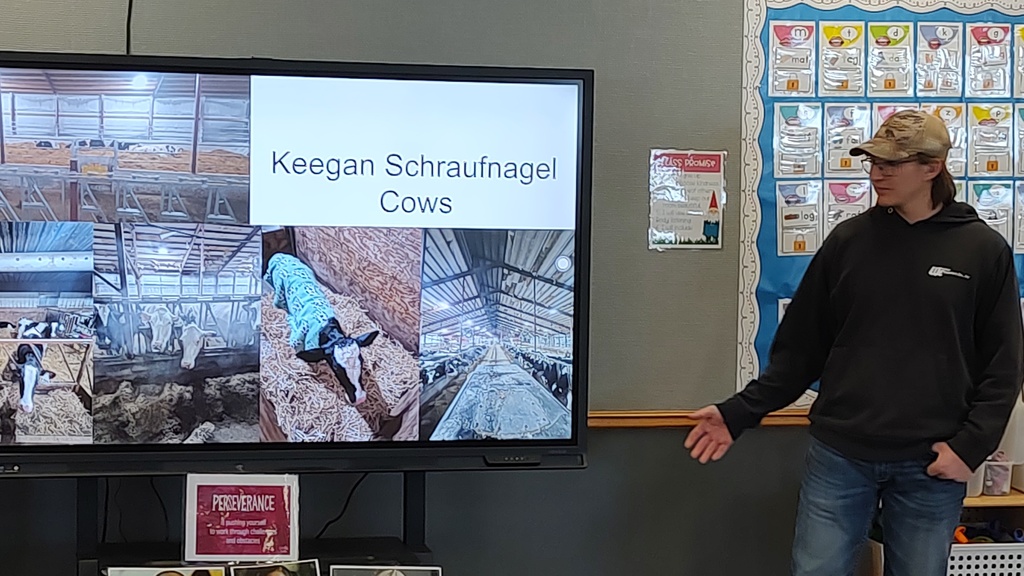 MHS FFA students visited our 5K classes down the hill at MES to extend their learning about farms during one of their recent Science/ELA units. Our high schoolers presented their real life experiences from farm animal care to tractor restoration, and even connecting the dots between the snacks the kids eat and what crops are used to create those snacks! (Raising cows presentation)