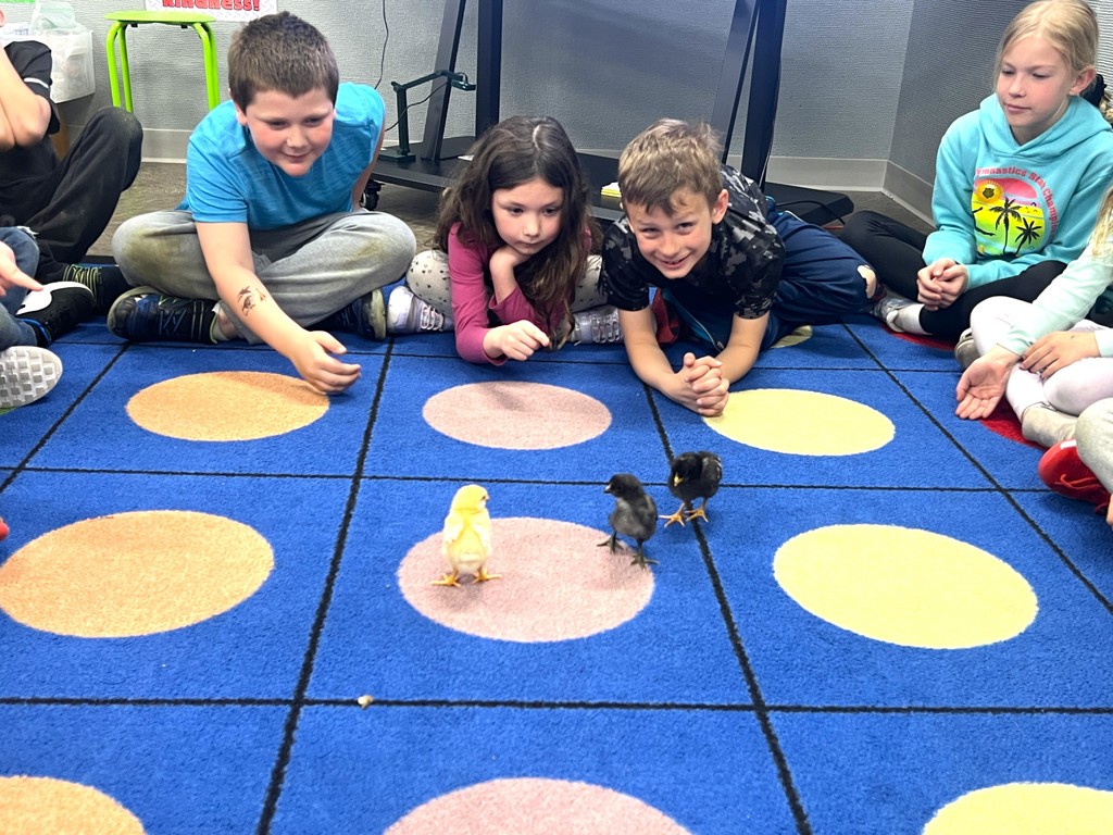Children smiling and holding baby chicks, sitting on floor in classroom
