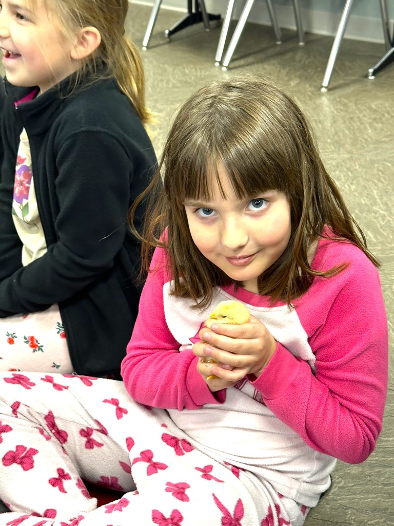 Children smiling and holding baby chicks, sitting on floor in classroom