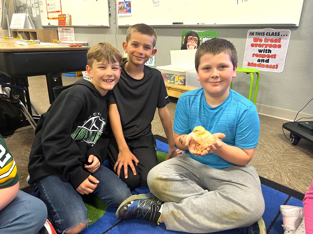 Children smiling and holding baby chicks, sitting on floor in classroom