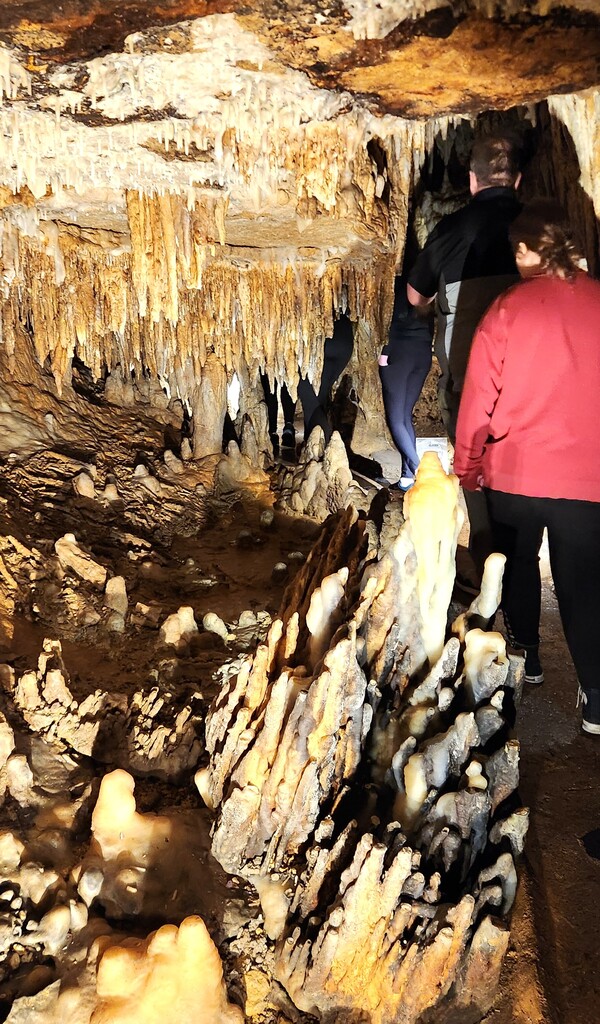 Students at Cave of the Mounds field trip