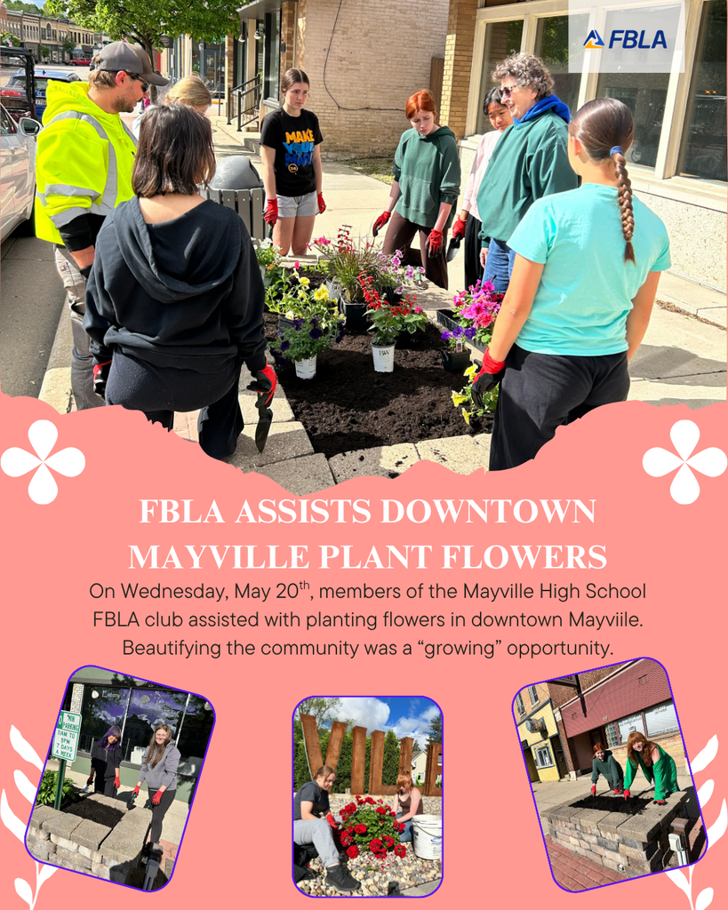 Students helping plant flowers in the flower beds on Main Street in Mayville along with FBLA Assists Downtown Mayville Plant Flowers text