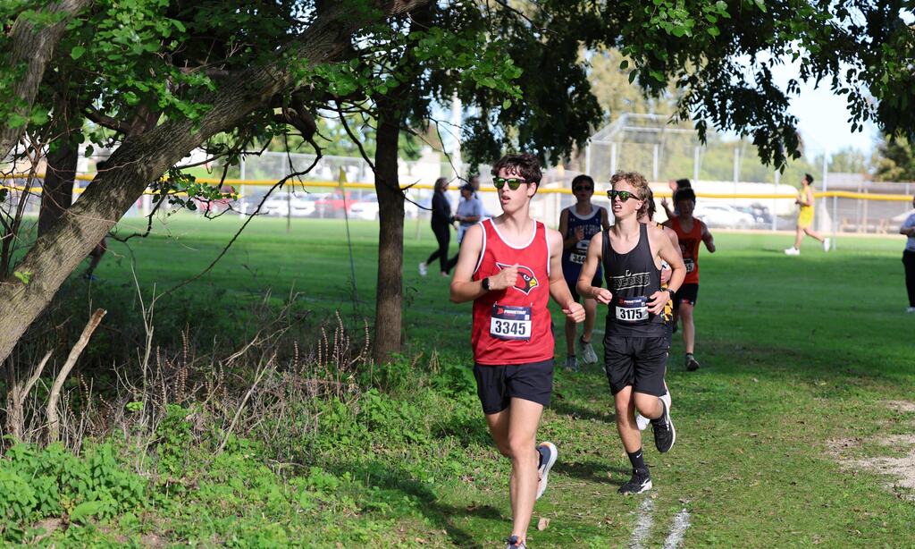 Cross Country MHS and Jr High at Horicon River Run Meet on 9/24/26
